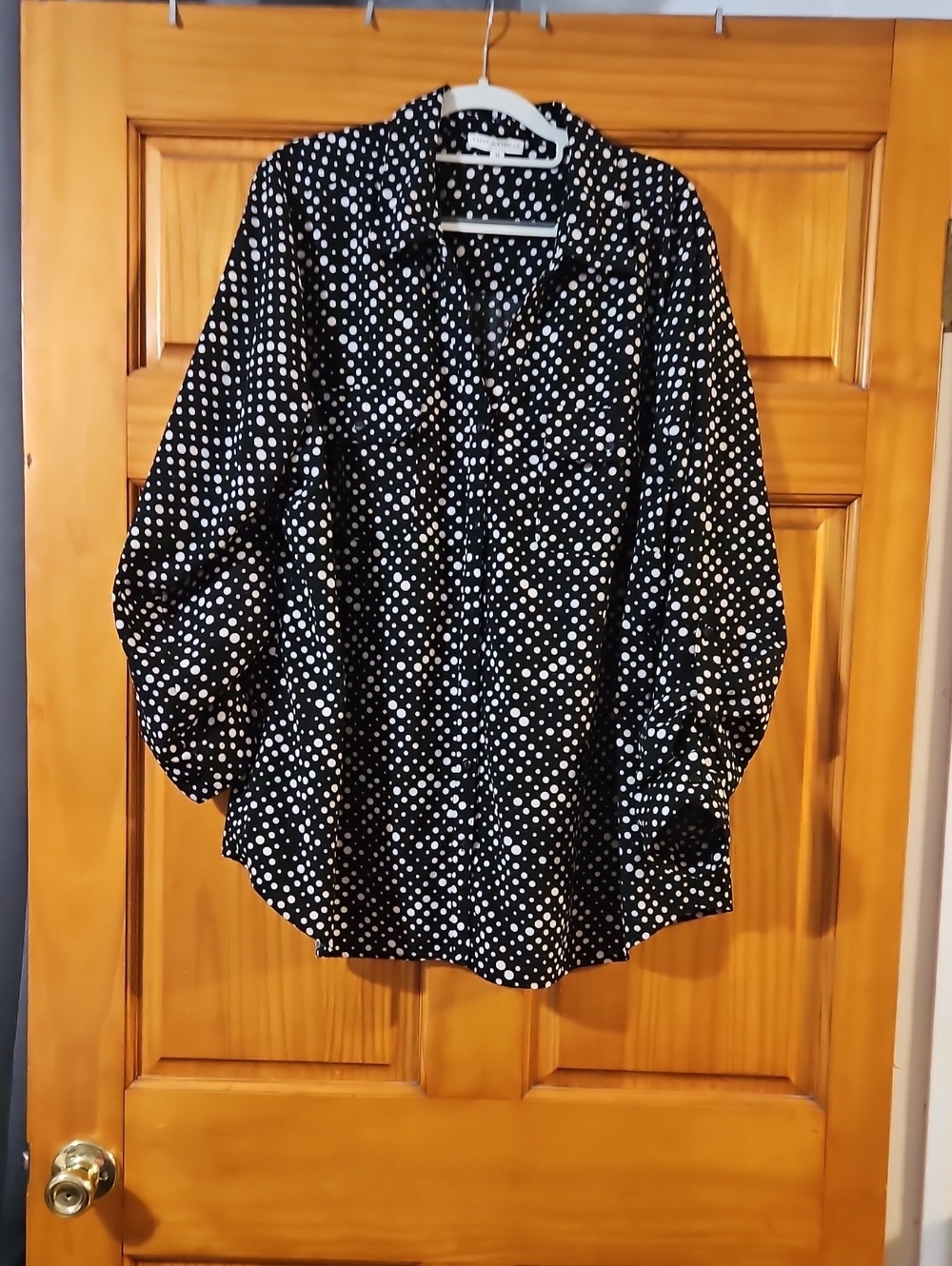 Black and White NOTATIONS Polka Dot Button-Up Blouse - Women's